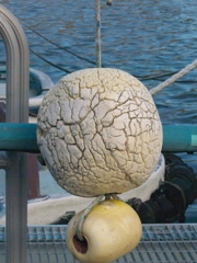 R4197477