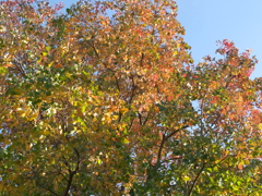 PB045621