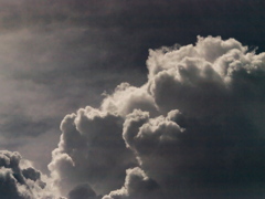 R8278157