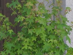 R6192791_1