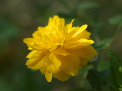 R4184778