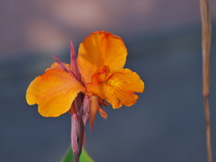 RB303478_1