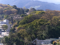 R4044485
