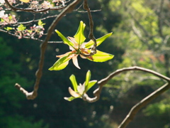 R4087289_1