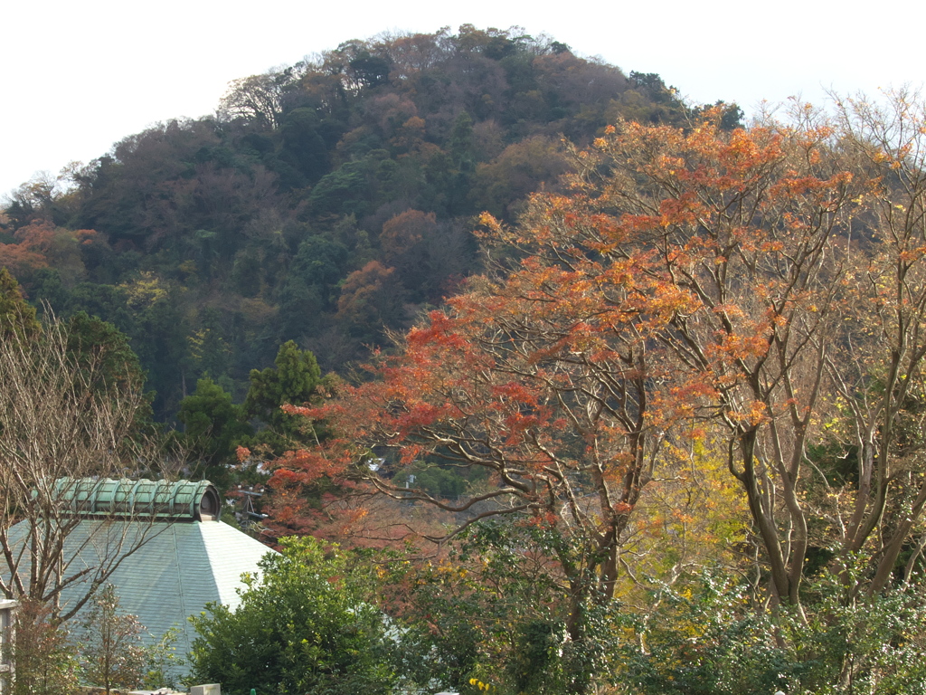 RC083608