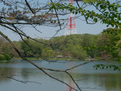 R4087272_1