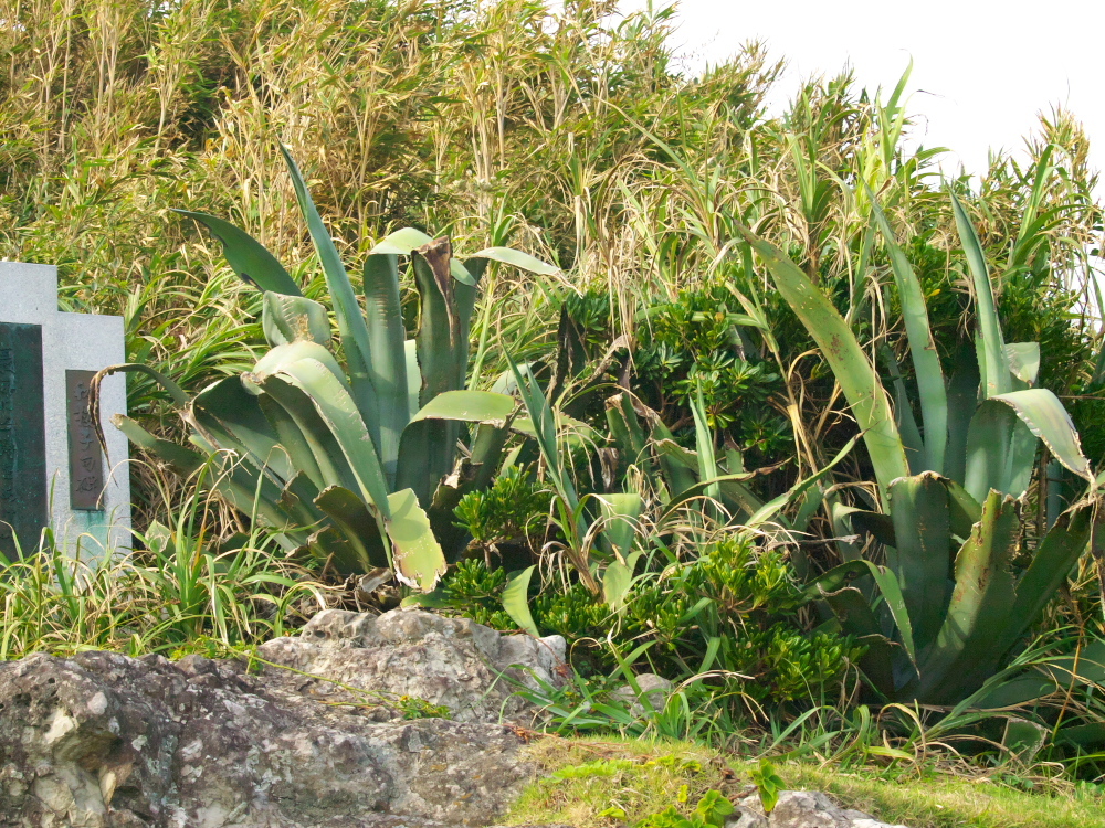 RA039610