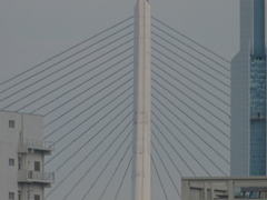 R6192728_1