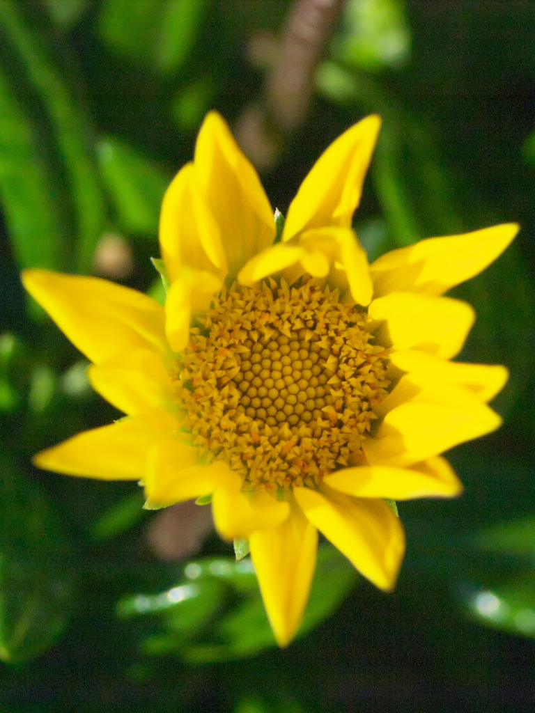 R4247543