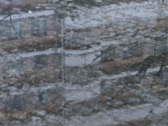 R1231293