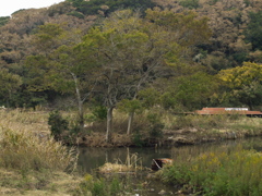 RB020006
