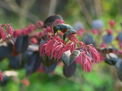 R4087370_1