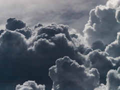 R8278156