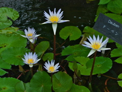 R9233052_2