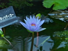 R9233061_2
