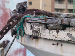 R4197493