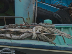 R6192698_1