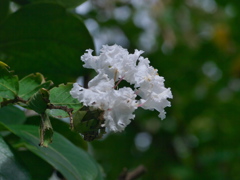 R9233008_2