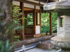 RC083569
