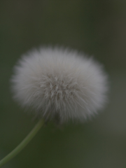 R5077513