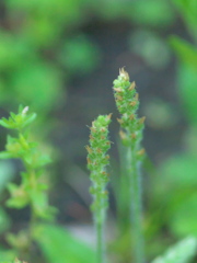R5077837