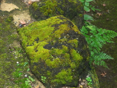RC083602