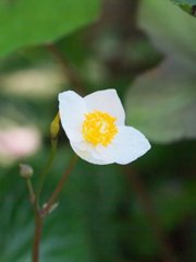 R4087377_1