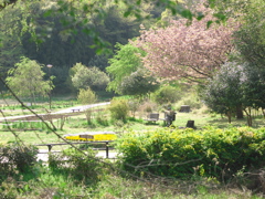 R4184815