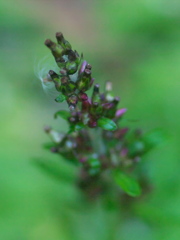 R5077840