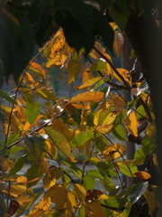 RB303357_1