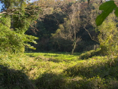 RB029896