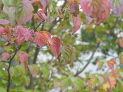 PB045659