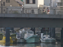 R6192630_1
