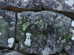 R4044558