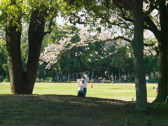 R4067216