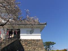 2019 04 04 小田原行2