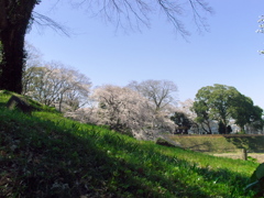 2019 04 04 小田原行1