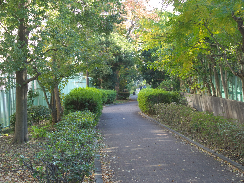 PB045617