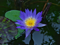 R9233045_2