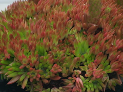 R9233070_2