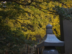 RC083695