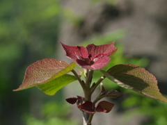 R4184918