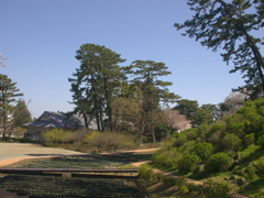 R4044459 (3)