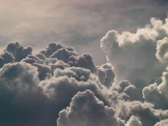 R8278165