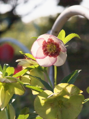 R4067192