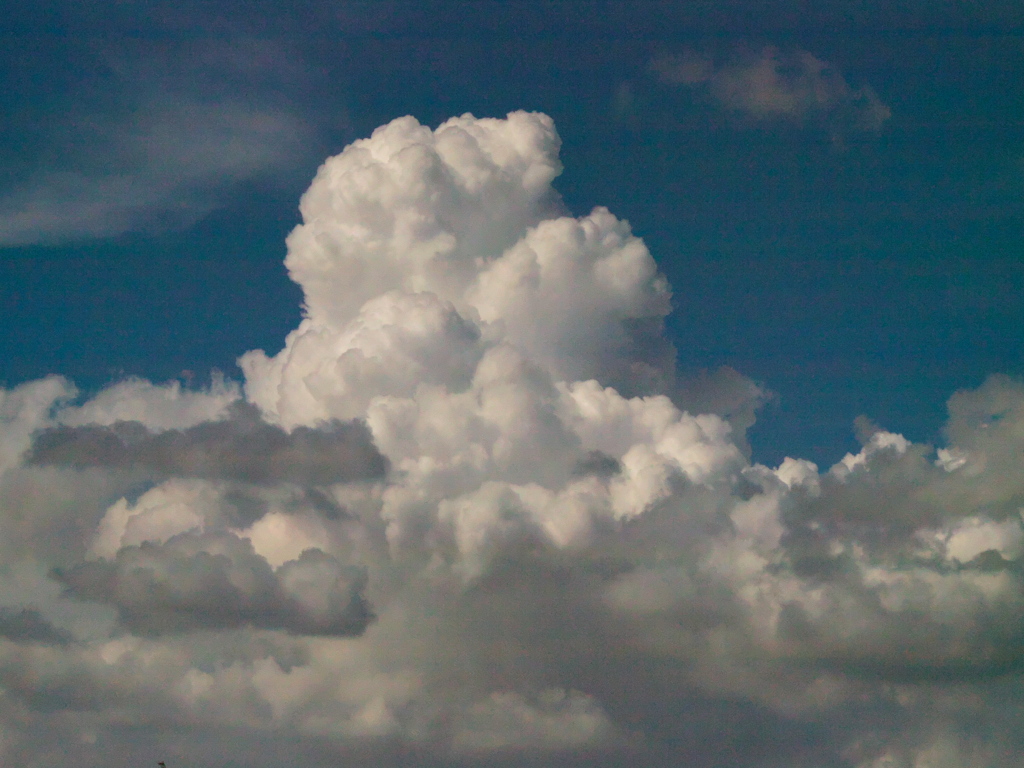R8278155