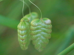 R5077793