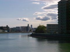 2020 04 19 鶴見川河畔1