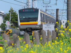 R4166405_1