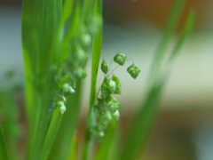 R4247683